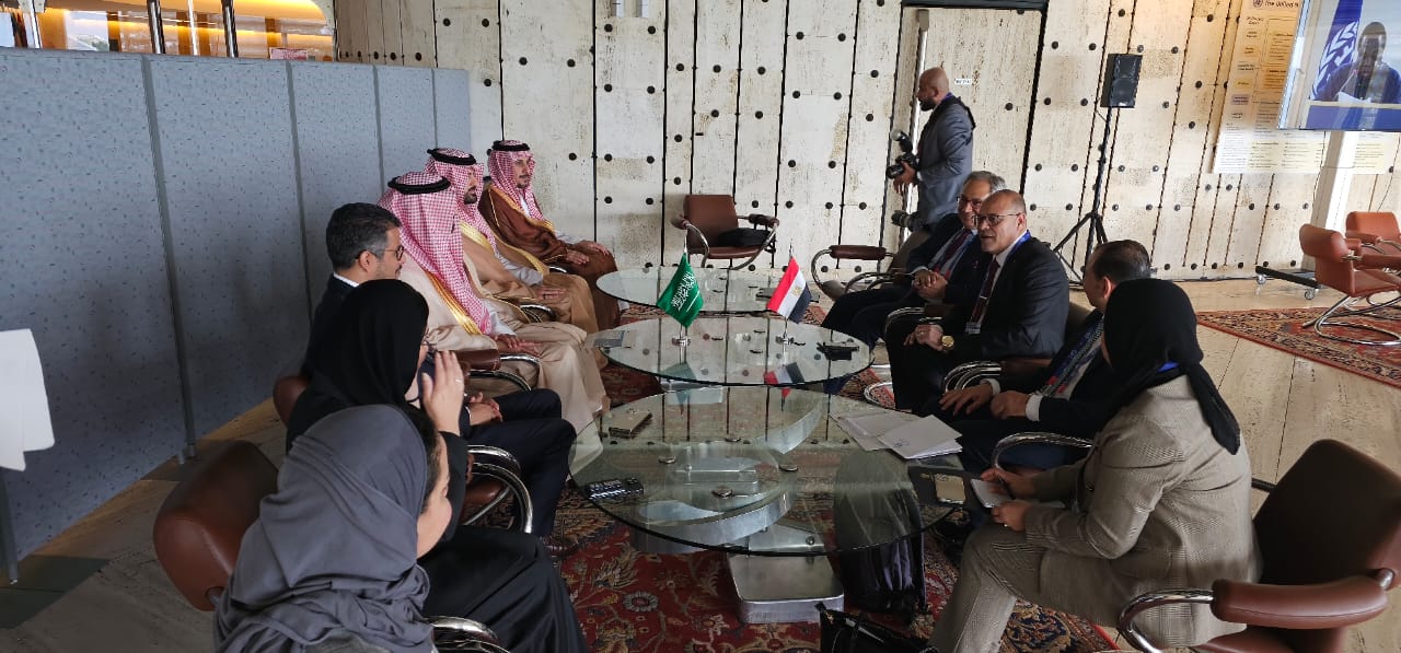 وزير القوى العامله 